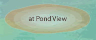 Gallery, Classes, Instruction and Events
