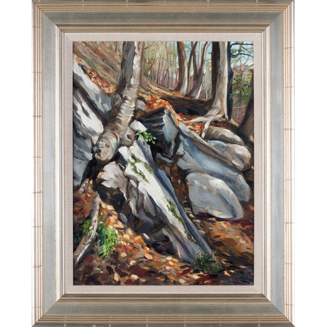 Boulders at the Gap